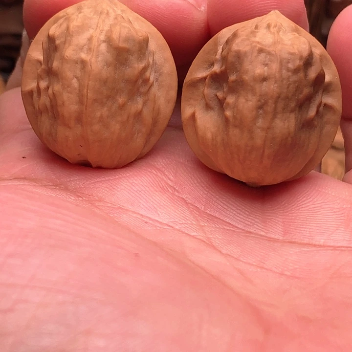 桃核把件小甲壳虫2号链接