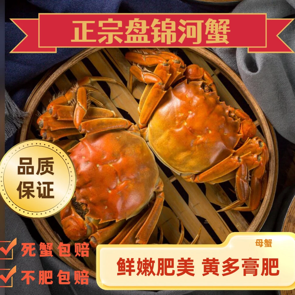 【鲜活】盘锦稻田蟹 母蟹【1.3-1.5两】3斤冷链空运运输 鲜活发货
