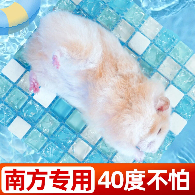 仓鼠降温夏季冰垫金丝熊散热兔子荷兰猪冰窝冰床仓鼠夏天降温神器
