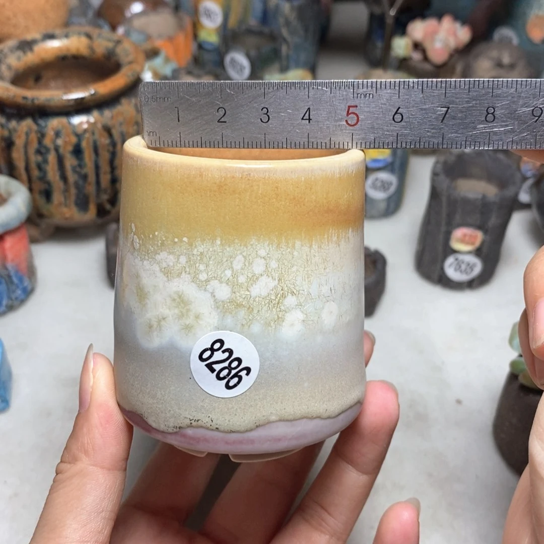 拍5送一个小礼物