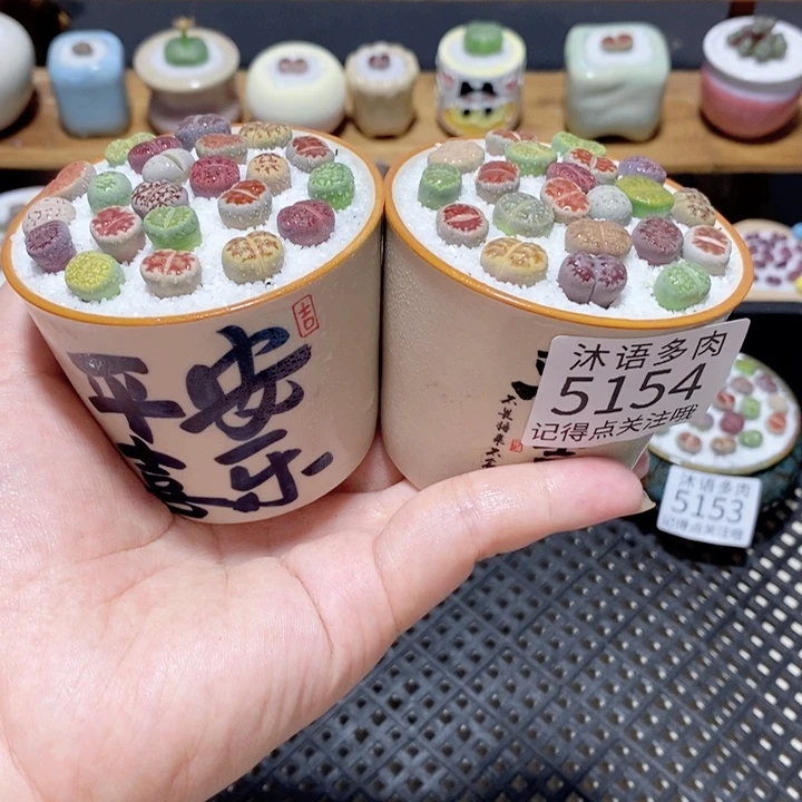 带盆土植物 一物一拍5154