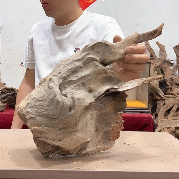 柏木萨**尔我们都是好孩子呀我也是