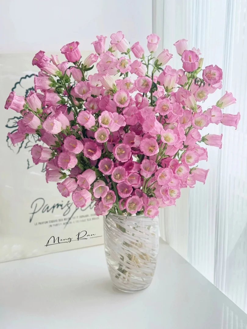 婵之语优选  粉色风铃鲜切花