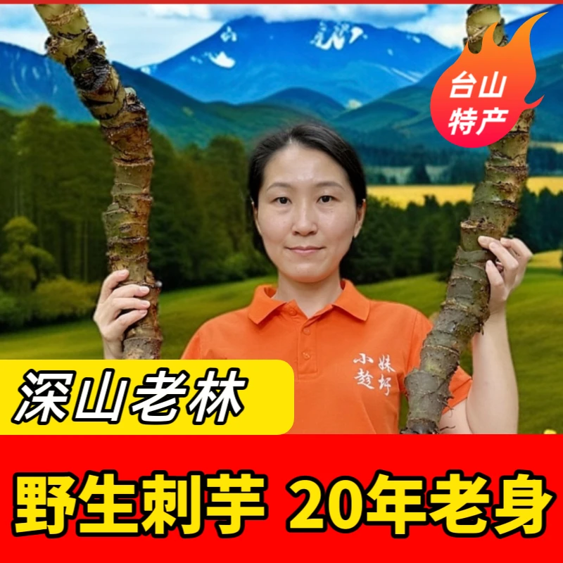 20年勒茨菇台山隆文特产煲汤煲水刺芋野山芋