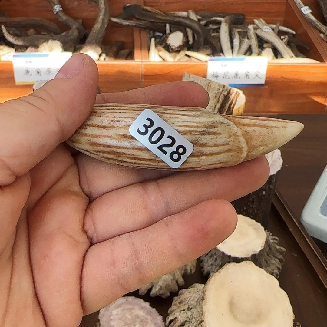 鹿骨手串/手链雕刻牙3028