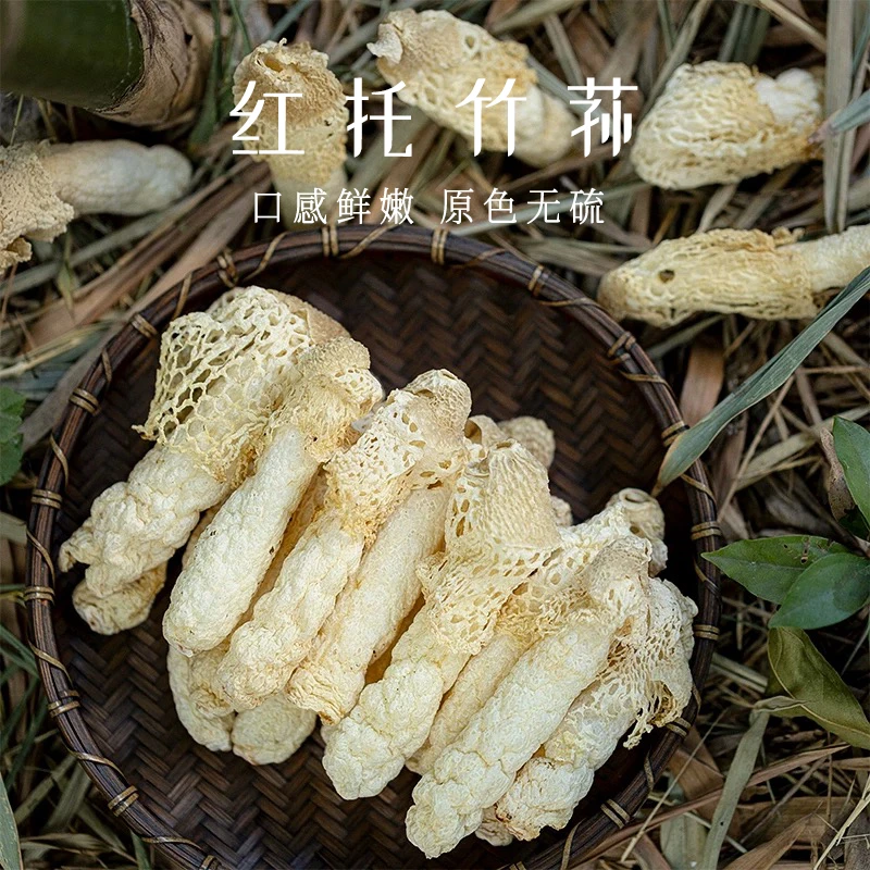 【露思同款】贵州竹荪干货织金红托竹荪煲汤食材竹笙无熏硫无肥皂味