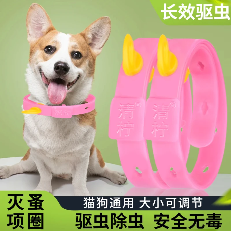 宠物防虱防跳蚤狗狗防虫项圈猫咪体外防虫圈猫圈狗圈用品猫狗饰圈