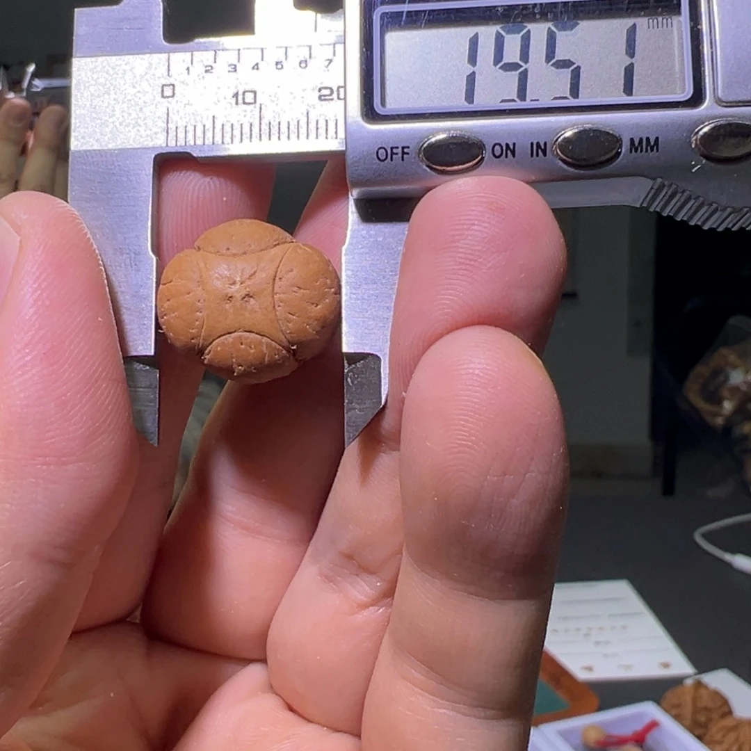 凤眼菩提手串?***来麒麟