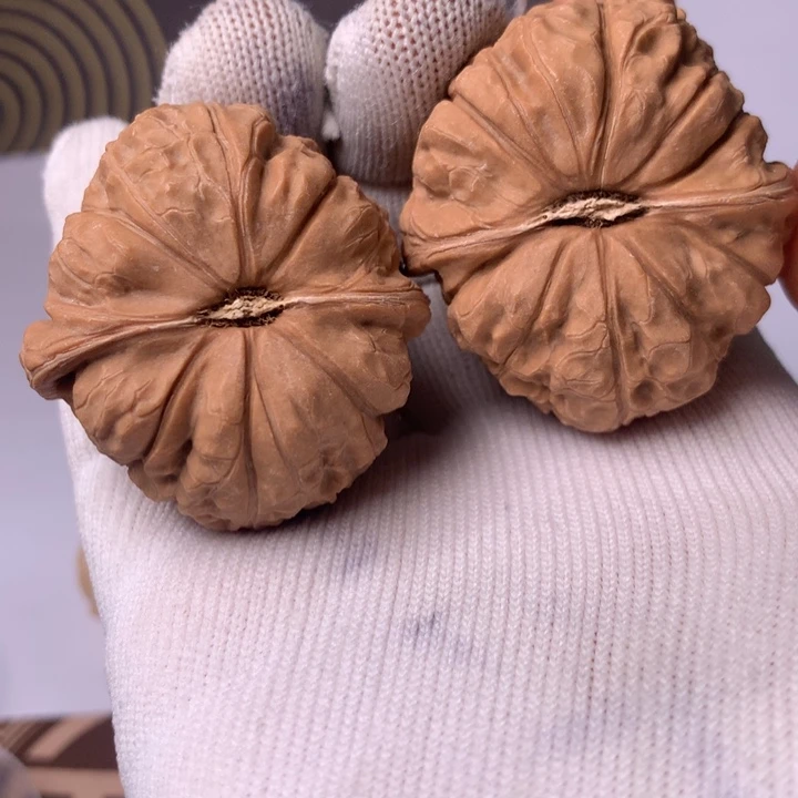 小***啦南瓜8件共十多元吧