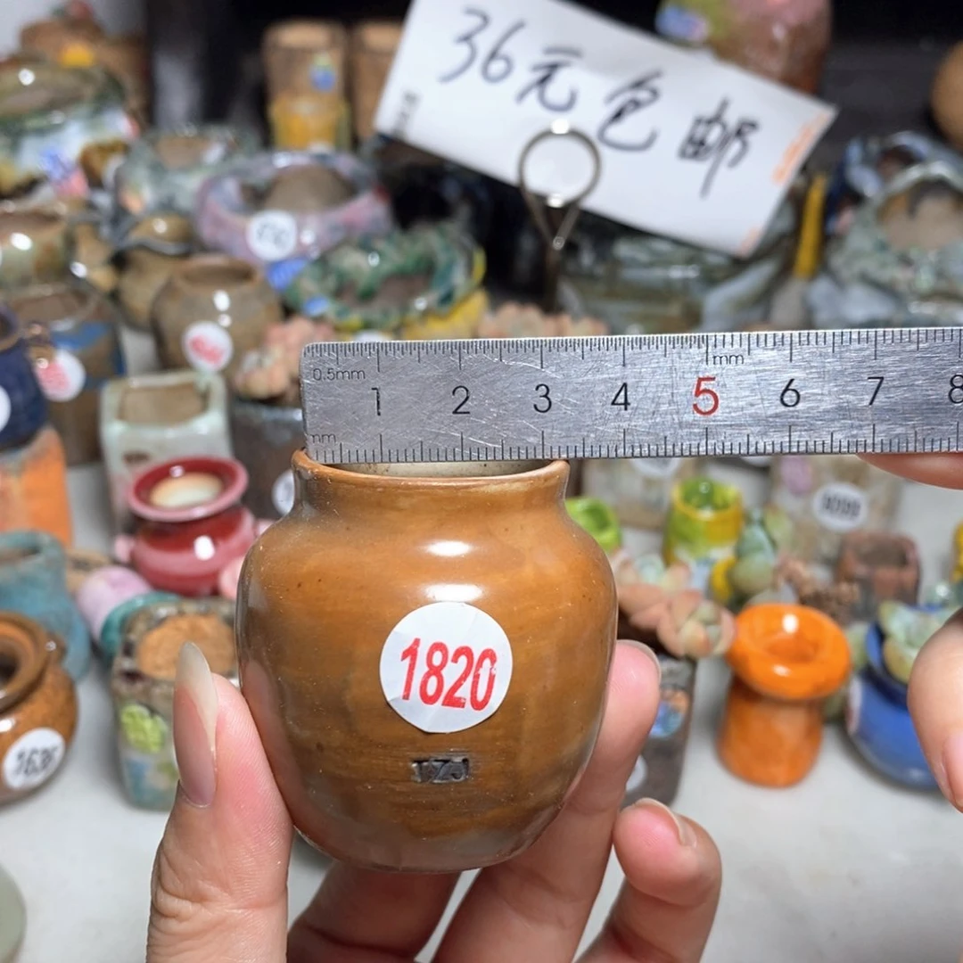 拍5送一个小礼物