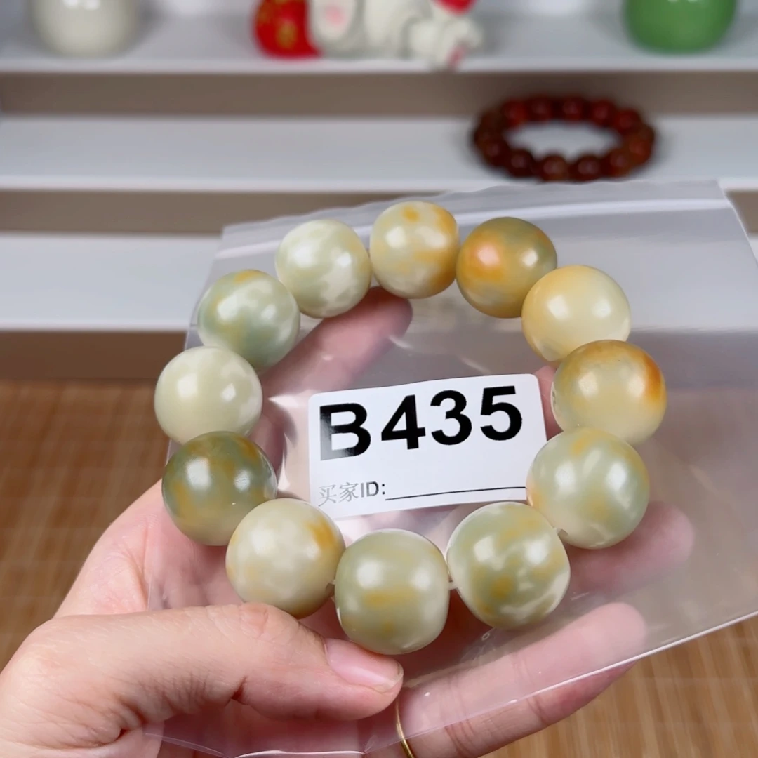手串菩提根/象牙果菩提2.22