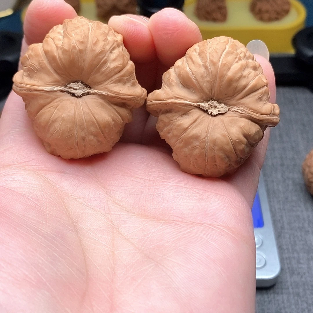 甘***行43尺寸南瓜墩全品无修