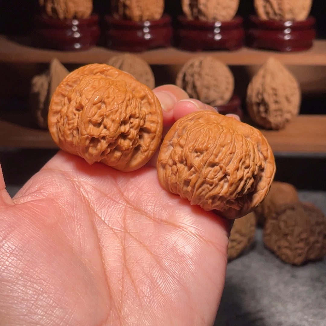 A***t其他核桃红狮子全品40