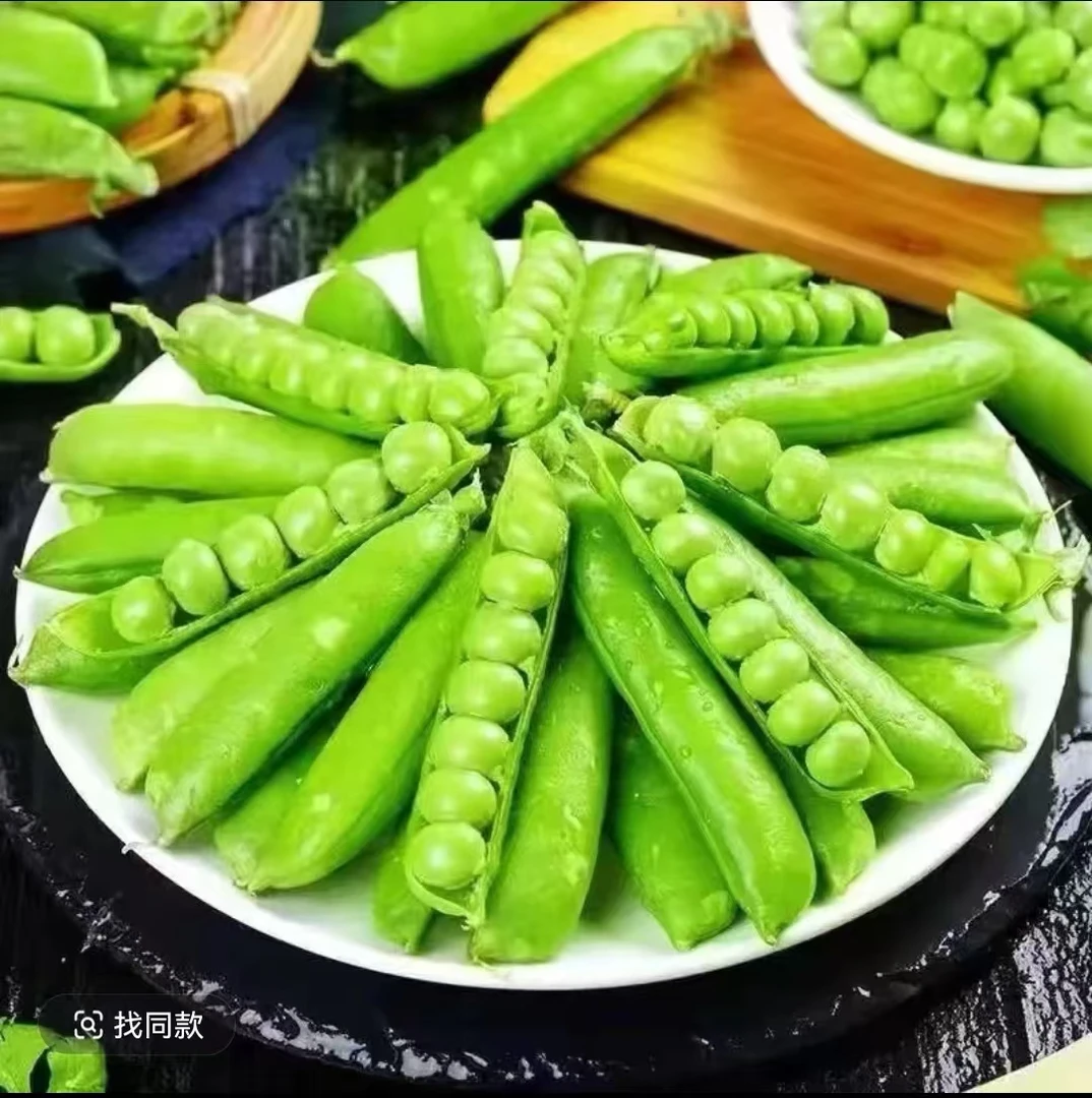 现摘现发水果豌豆农家自种鲜青豌豆荚带壳青豆露天生长豌豆角5斤