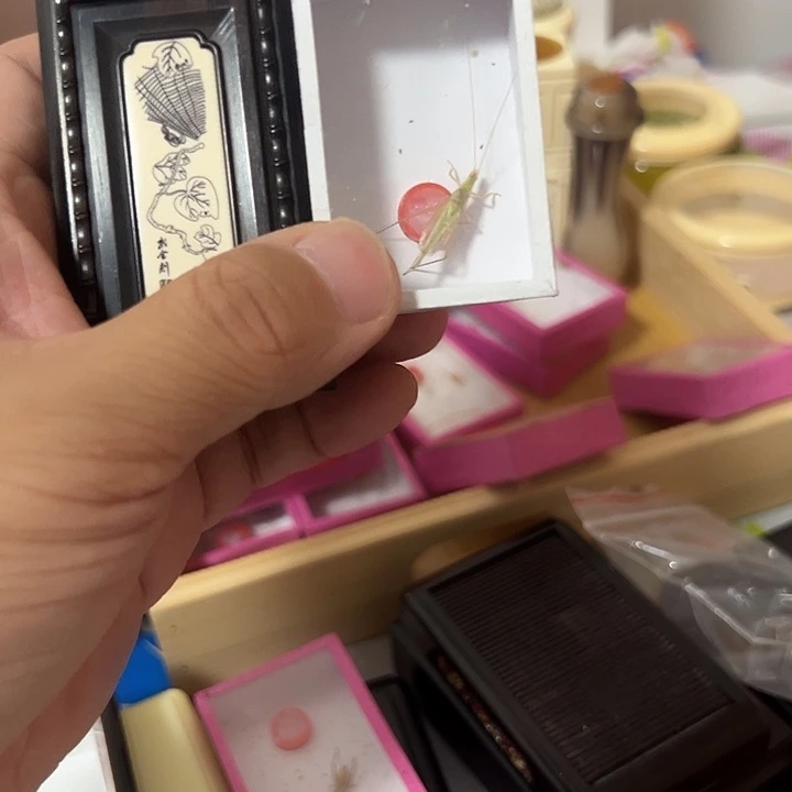 单联哈哈哈哈吧哈哈哈