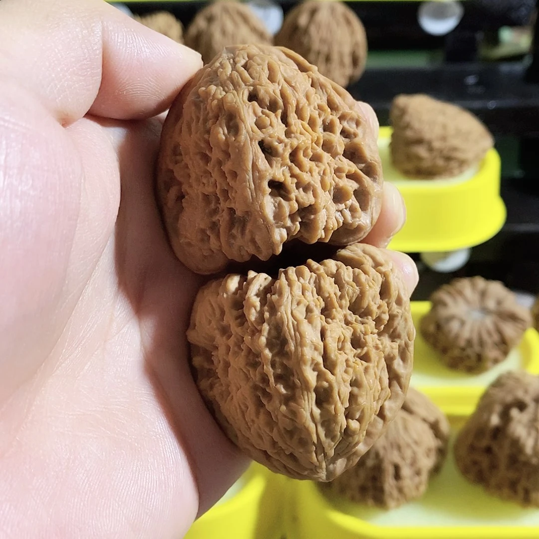 木质类今天是你的