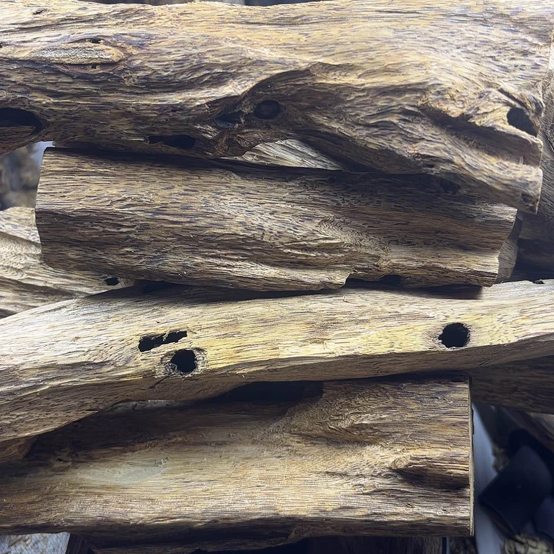 初***品香料奇楠虫漏香1400克