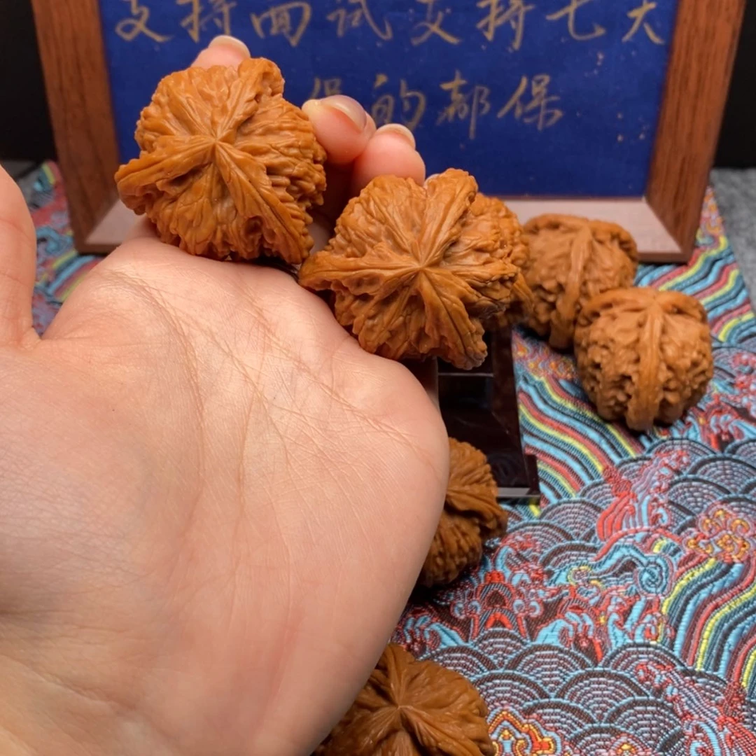 【闪购商品】达****儿白狮子11111