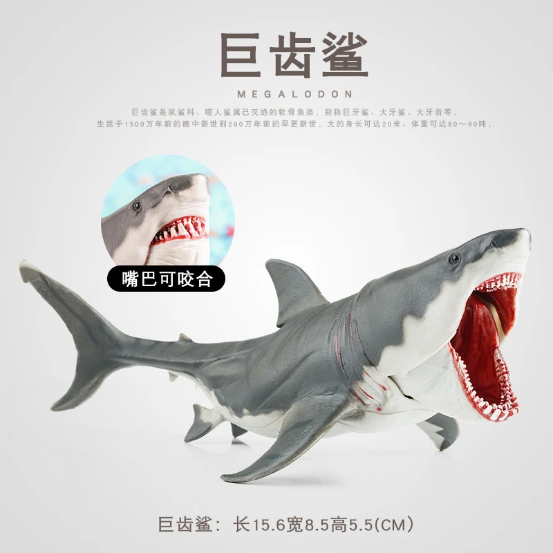 巨齿鲨大白鲨海洋动物模型科教认知收藏静态手办霸王龙儿童