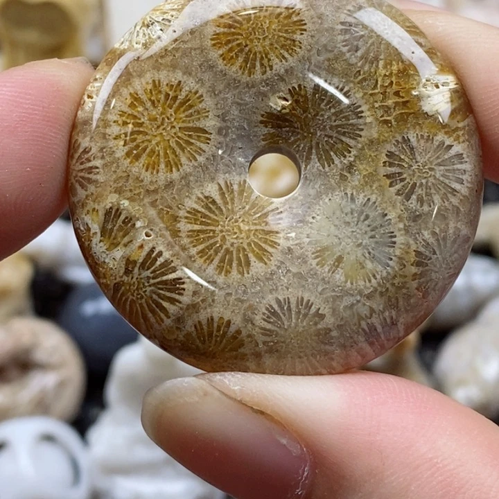 颈饰未镶嵌硅化珊瑚（珊瑚玉）有瑕
