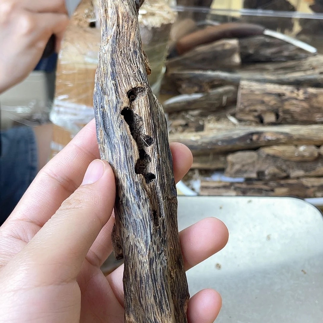 木绿奇楠原材料虫漏44克