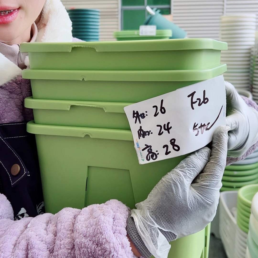 瑕疵方盆F26果绿4个无托