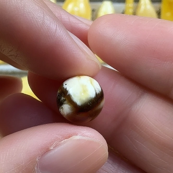 蜜蜡未镶嵌裸石46