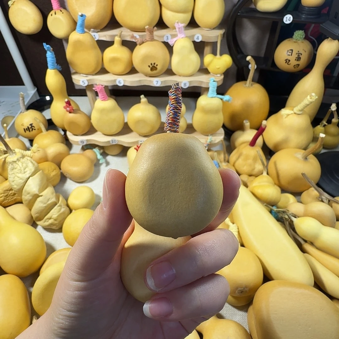 小***莉大叶紫檀（黑酸枝木类）