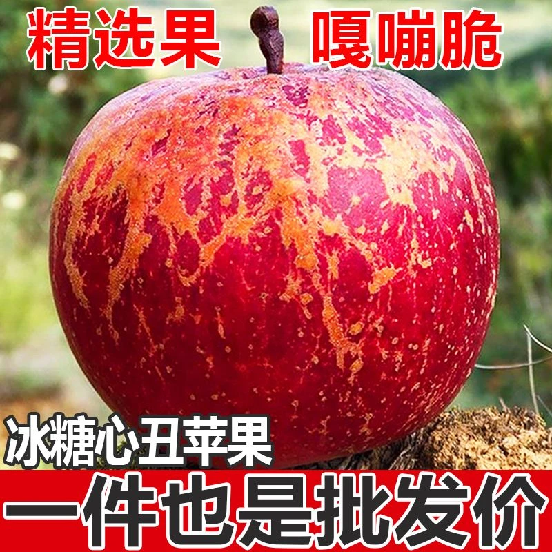 云南昭通冰糖心丑苹果新鲜现摘抖音脆甜好吃营养多汁