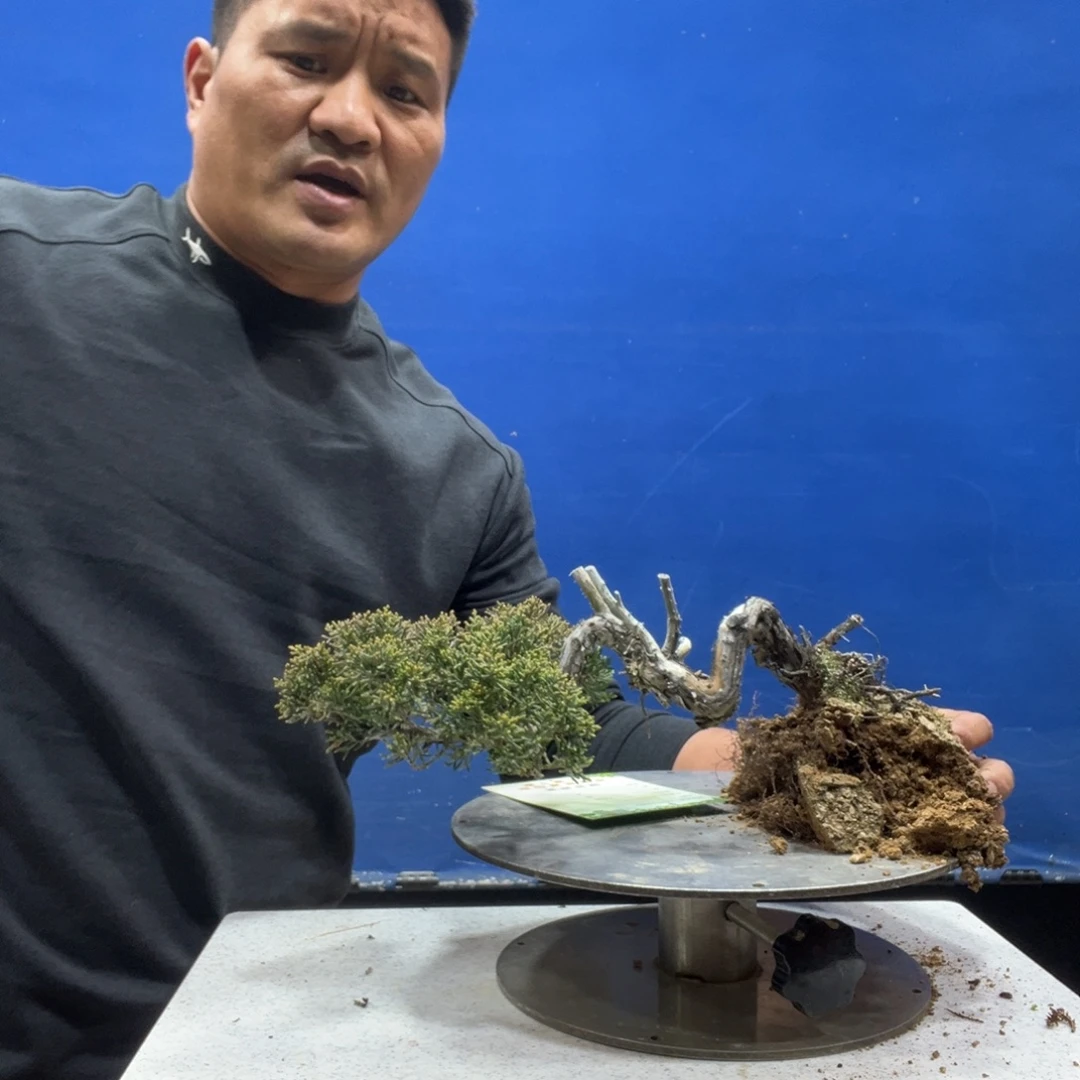 心****无花朵888888888888