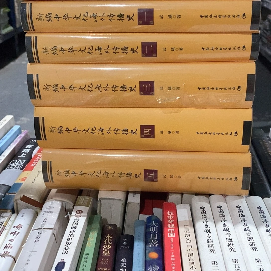 新编中华文化海外传播…共六卷