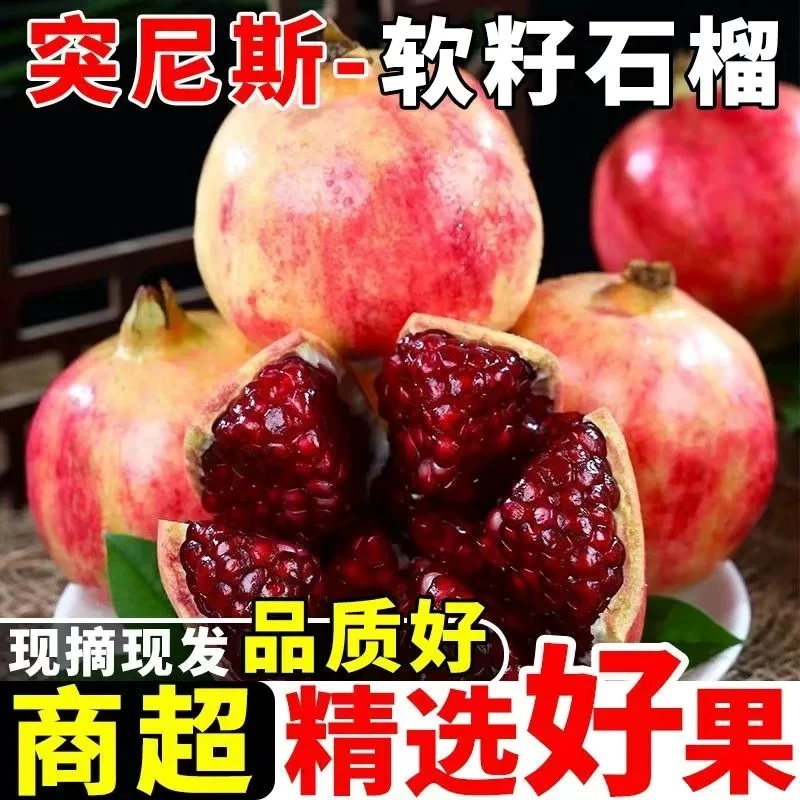 【大凉山也有红籽大石榴】四川会理突尼斯软籽石榴新鲜当季爆甜无籽