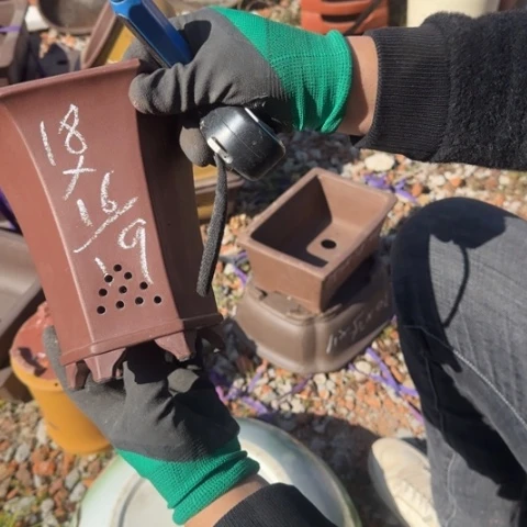 紫砂花盆紫砂花盆盆景盆栽