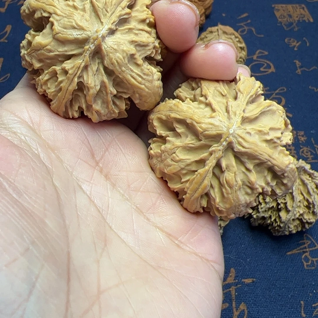 文玩核桃把件秦岭野生植物核桃