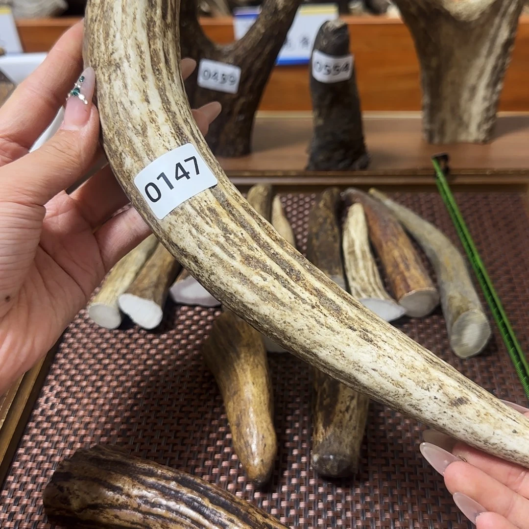 鹿骨手串/手链0147角尖