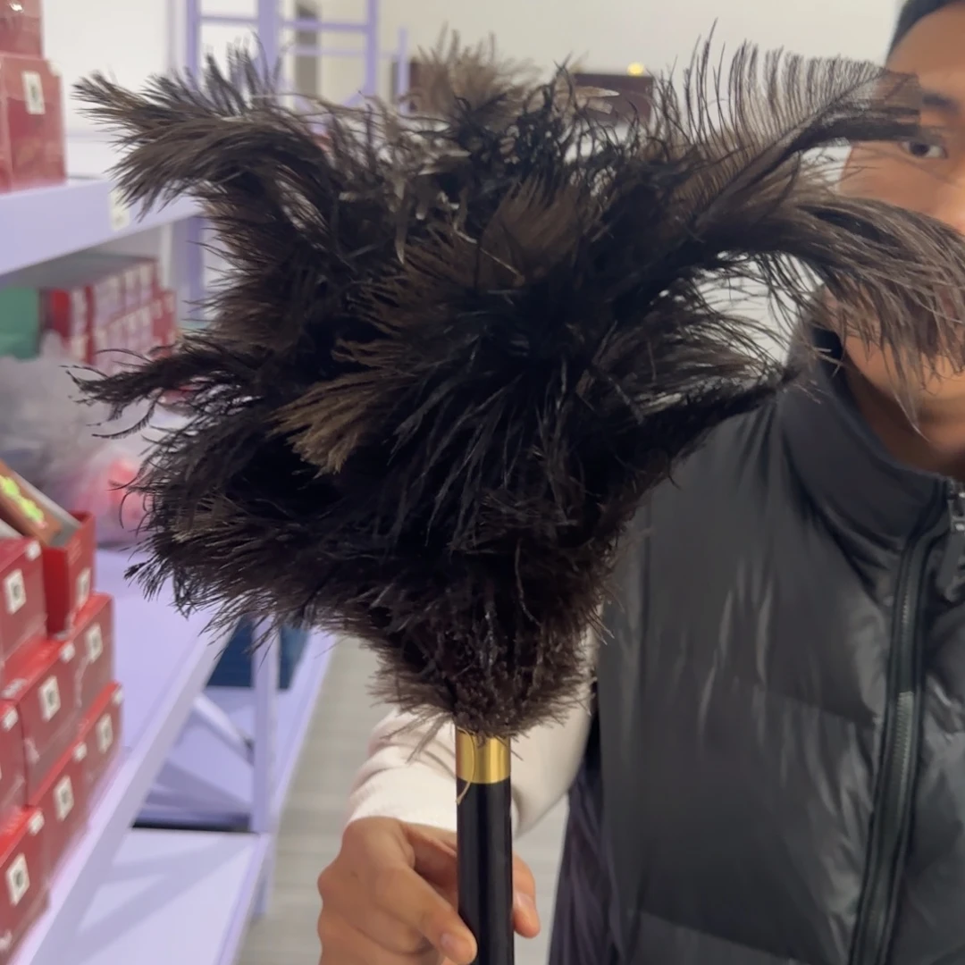 端景台紫檀木类乌木掸子