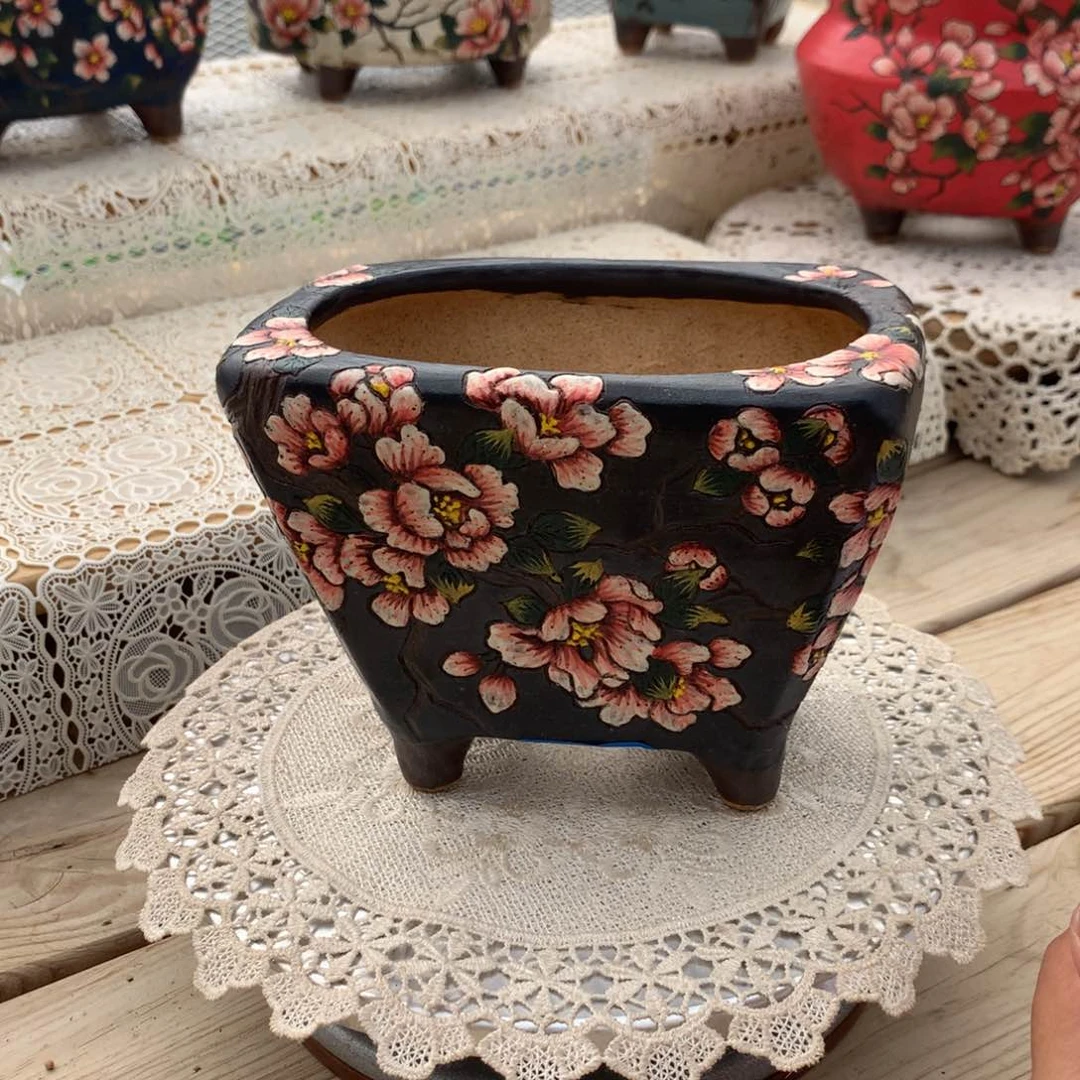 苿*苿茗酥皮鸭花盆发货多肉