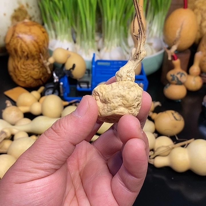 缘****6精品葫芦手把葫芦55