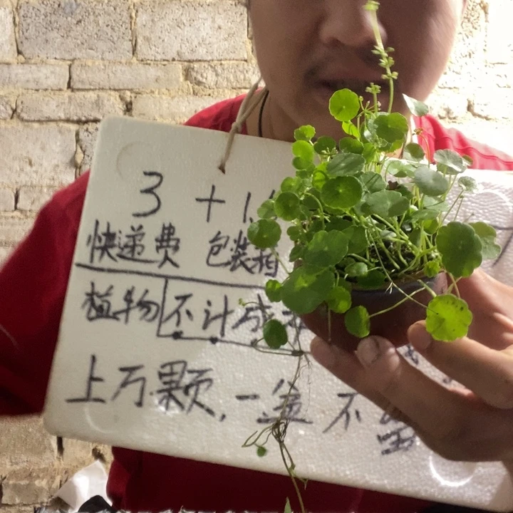 退款拉黑一物一拍114