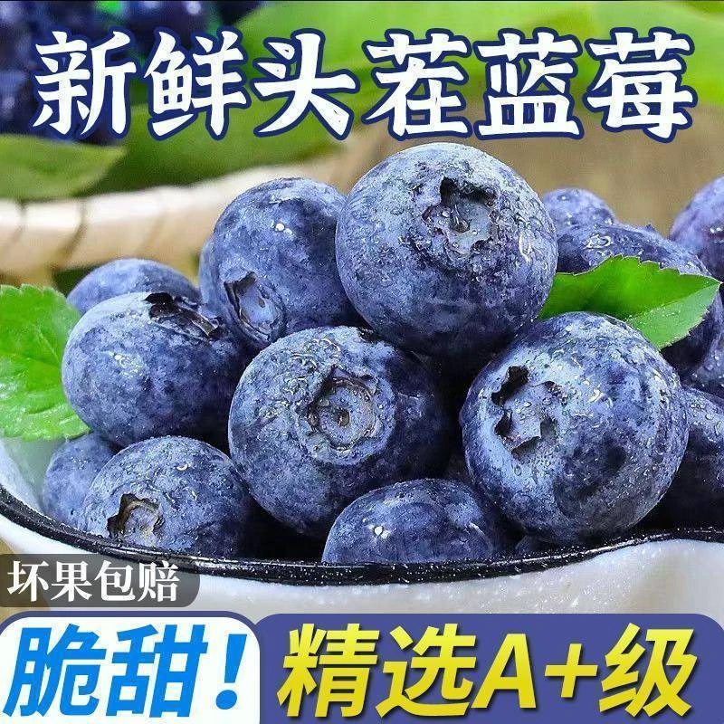 空运包邮新鲜饱满酸甜多汁特大果蓝莓果园产地直发