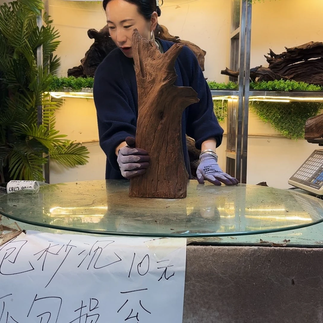 玉***艺柚木沉木鱼缸造景