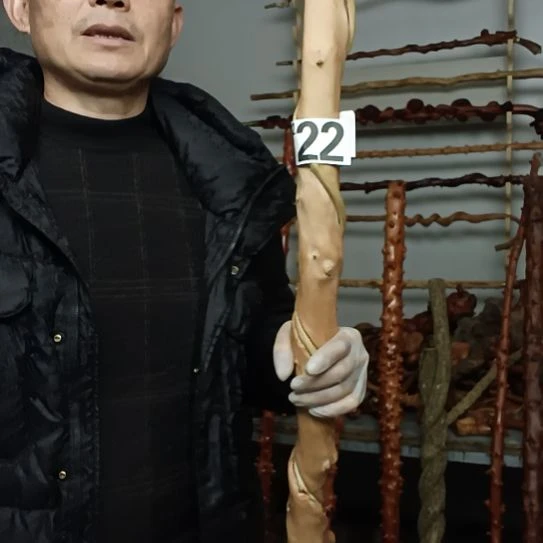 淡***茶香榧木高山 檬子木文玩料