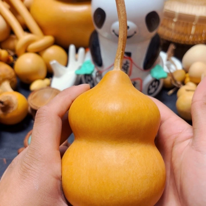 a****u8888888888888888888