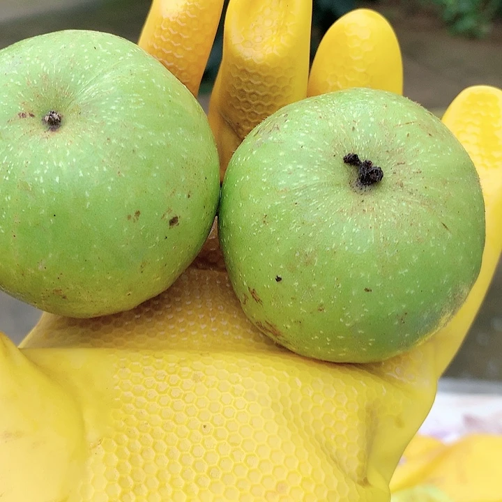 岐山三棱特价活动