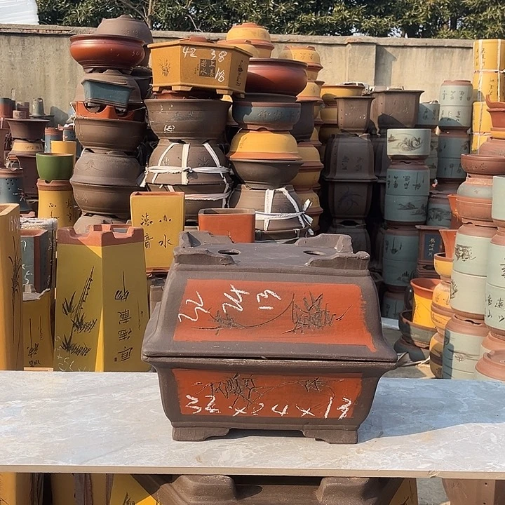 紫砂紫砂花盆盆栽