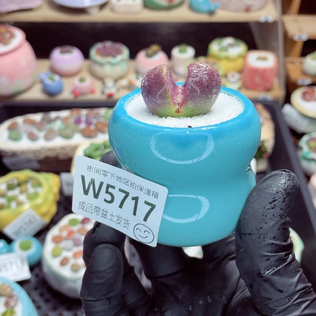 夜间零下地区拍保温箱w5717