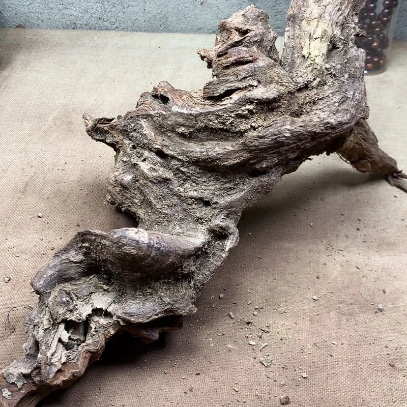 【闪购商品】黄花梨/降香黄檀津*堂原材料