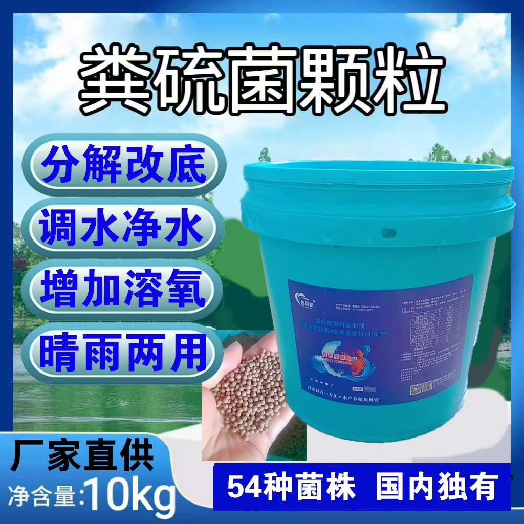 粪硫菌生物改底颗粒水产养殖专用