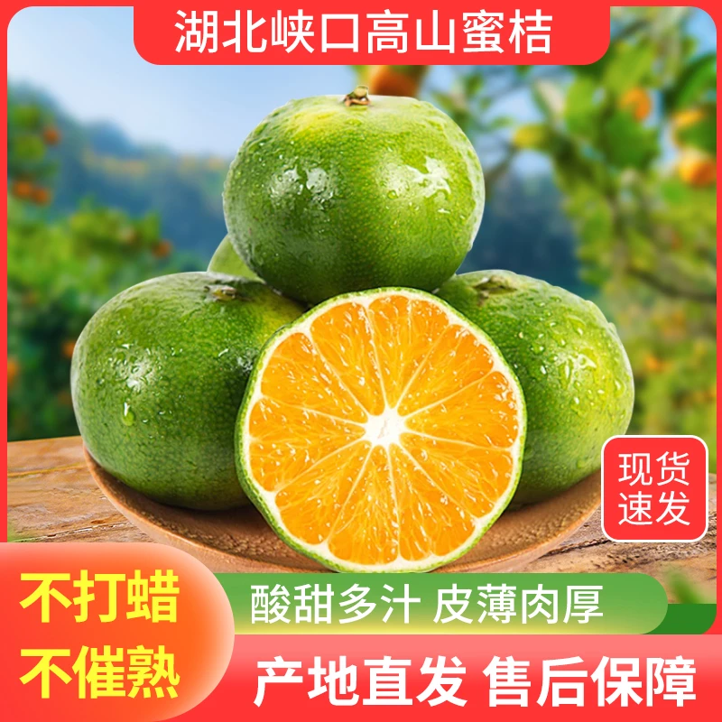 ［山货出山］湖北南漳峡口农家高山蜜桔青黄皮无籽汁水饱满桔子橘子