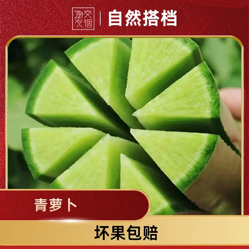 【交个朋友专属】水果青萝卜4.5斤装当季新鲜蔬菜现挖水果萝卜